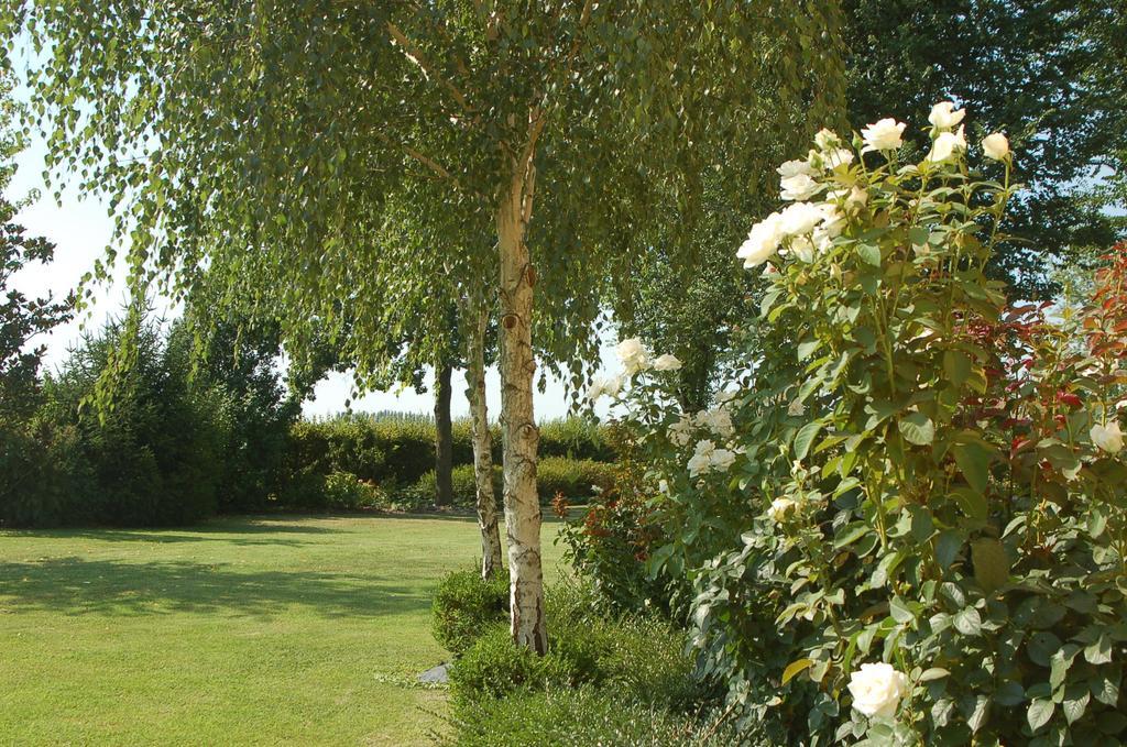 B&B Temenos Parma Luaran gambar